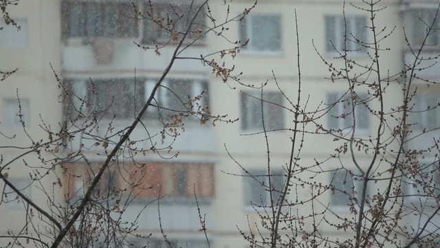 Fine snow slowly falls in front of a trees and a living building with many windows and balconies (1080p; 1/2 real speed, 25 fsp)
