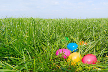 Colorful easter eggs