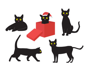 Fototapeta na wymiar Black cats with one sitting in a red box, wearing santa hat