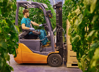 Young attractive man working on electric forklift in greenhouse © Nejron Photo