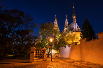 Naklejka premium Vysehrad church of St. Peter and St. Paul and park at night, Prague, Czech Republic