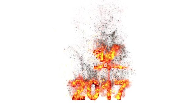 2017 New Year - fire cock