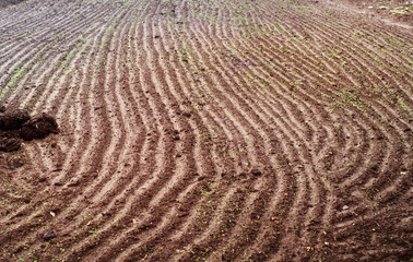  Arable field. Preparation of the earth for winter