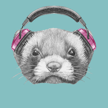 Portrait of Least Weasel with headphones. Hand drawn illustration.
