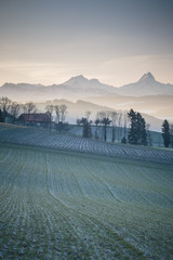 way to the mountains