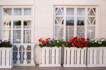Fototapeta na wymiar Flowers outside the house. Windows of a house. Red and white petunias. Feel the aroma of freshness.