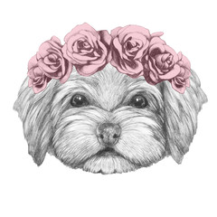 Portrait of Havanese with floral head wreath. Hand drawn illustration of dog.