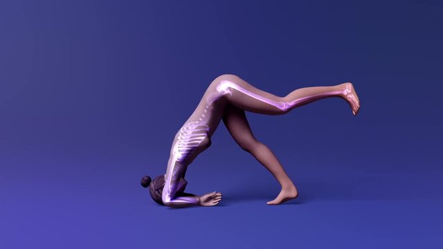 Yoga Dolphin Pose Of Stretching Female With Visible Skeleton