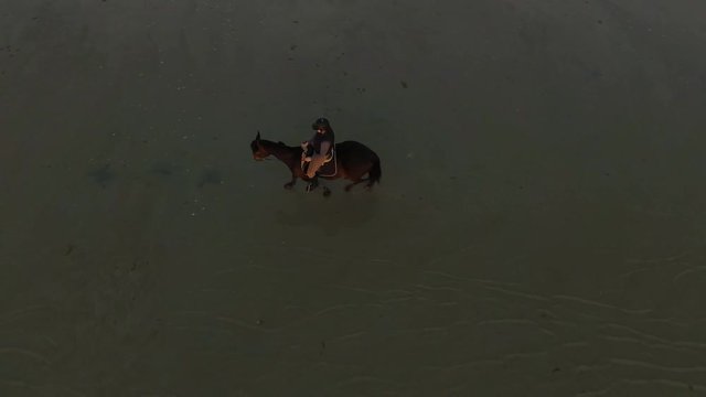 Bird's-Eye View of a Girls Riding Horse on Water. Setting Sun Illuminates Them.