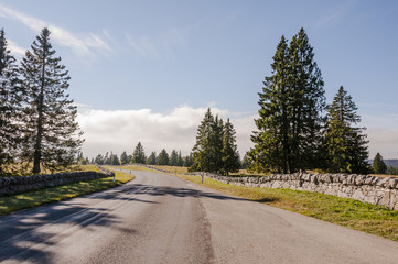 Fototapeta premium Le Brassus, Dorf,, Vallée de Joux, Passstrasse, Bergstrasse, Jura, Wanderweg, Col du Marchairuz, Herbst, Herbstwanderung, Schweiz