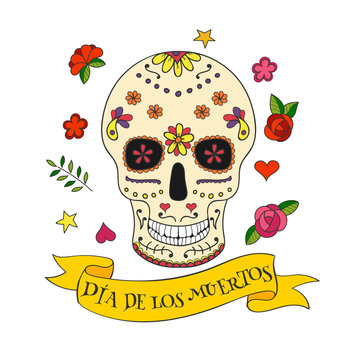 Colorful vector Calavera skull.  Sugar skull for Mexican day of the Dead