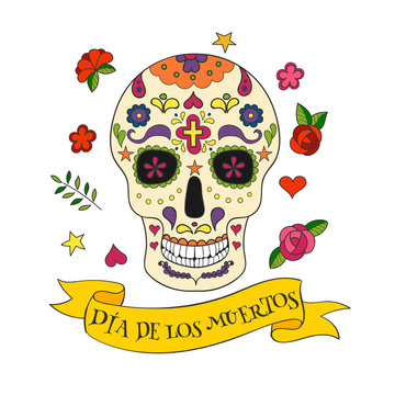 Colorful vector Calavera skull.  Sugar skull for Mexican day of the Dead