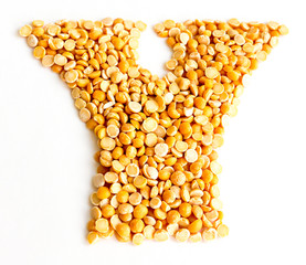 The Letter Y.