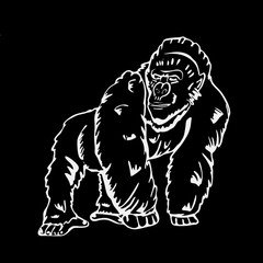Hand-drawn pencil graphics, monkey, gorilla. Engraving, stencil style.