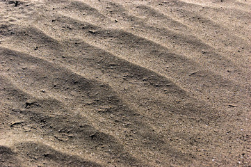 Sand background. Sandy beach texture Macro shot. A lot of Copy space