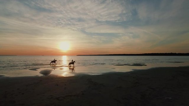 Two GIrls are Riding Horses on a Beach. Horses Run on Water. Beautiful Sunset is Seen in this Aerial Shot.