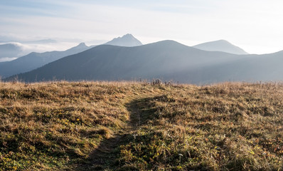 autumn omorning Mala Fatra mountains panorama with hills and misty from mountain meadow on Snilovske sedlo above Vratna dolina near Terchova village in Slovakia © honza28683
