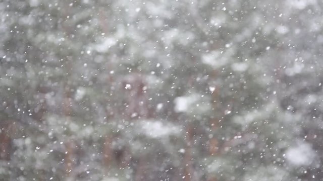 Снег летит. Фон абстракция.