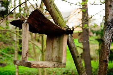 homemade wooden bird feeders