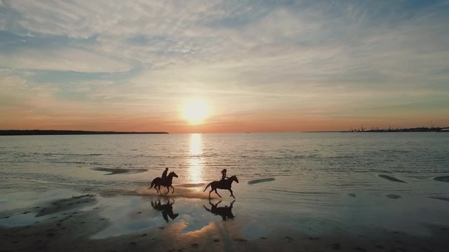 Two GIrls are Riding Horses on a Beach. Horses Race on Water. Beautiful Sunset is Seen in this Aerial Shot.