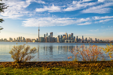 Toronto Skyline with autumn vegetation - Toronto, Ontario, Canada © diegograndi