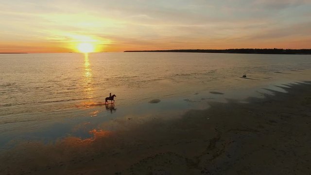 GIrl Riding Horse on a Beach. Horse Walks on Water. Beautiful Sunset is Seen in this Aerial Shot.
