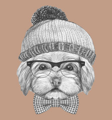 Portrait of Havanese with glasses, hat and bow tie. Hand drawn illustration.
