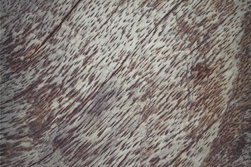 wood background