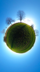 Little planet - spherical view of green fields with trees and blue sky