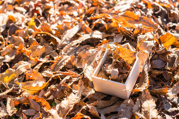 落ち葉が詰まった家