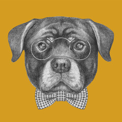 Portrait of Rottweiler with glasses and bow tie. Hand drawn illustration.