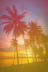 Plakat Silhouette coconut palm trees on beach at sunset. Vintage tone.