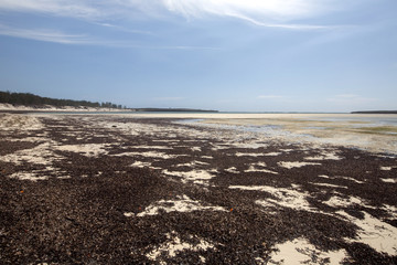 Bay Amoronia orange dry seaweed-covered coast, north of Madagascar