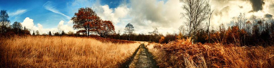 Fototapeta premium Panoramic autumn landscape with country path