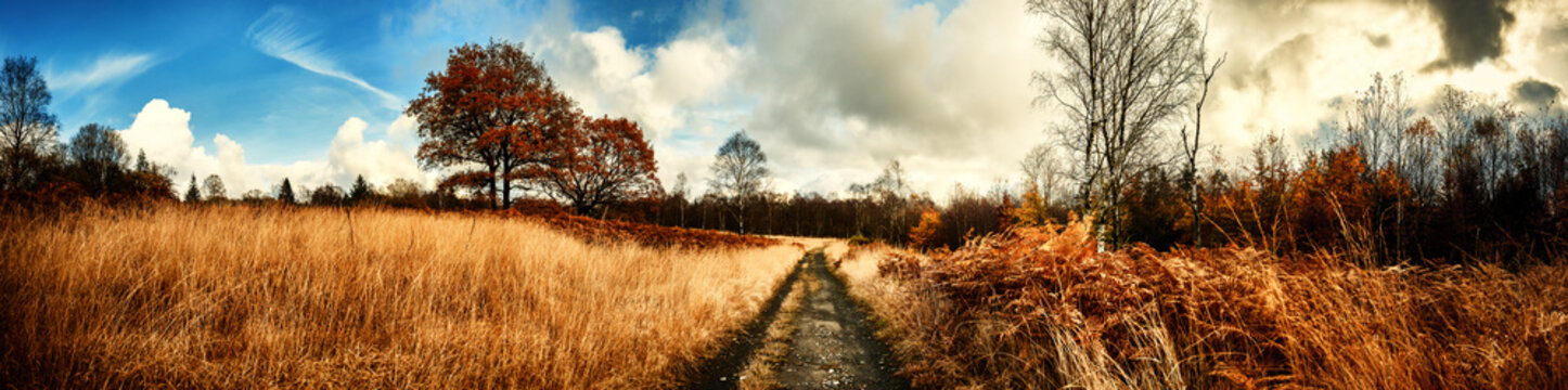 Fototapeta Panoramic autumn landscape with country path
