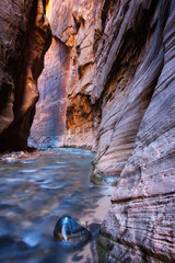 The Narrows Zion National Park