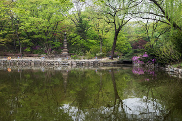 Fototapeta na wymiar View of lush trees and shrubs next to the Chundangji pond - the rear garden of Changgyeonggung Palace in Seoul, South Korea.