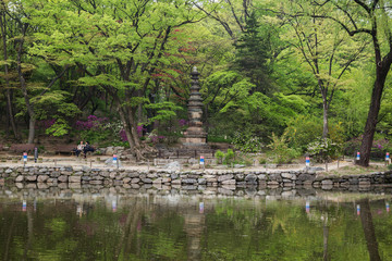 View of lush trees and stone pagoda next to the Chundangji pond - the rear garden of Changgyeonggung Palace in Seoul, South Korea.