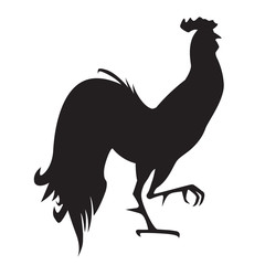Fototapeta premium Black rooster on white background.