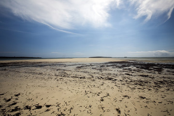 Bay Amoronia orange dry seaweed-covered coast, north of Madagascar