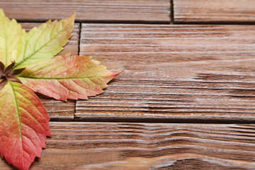 Naklejka na ściany i meble Autumn leafs on brown wooden table