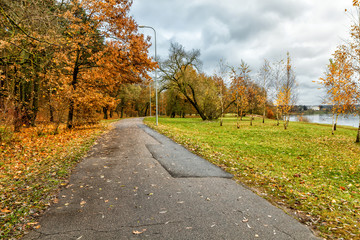 The trail near the river