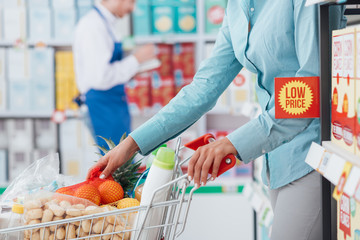 Grocery shopping at the store