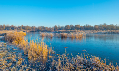 Shore of a frozen lake in sunlight in autumn