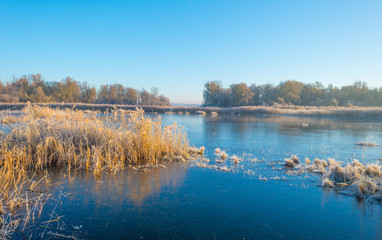 Shore of a frozen lake in sunlight in autumn