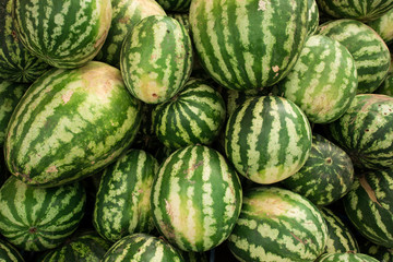 Watermelon background.