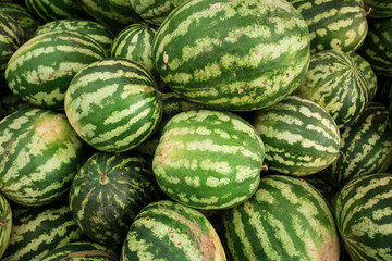 Watermelon background.