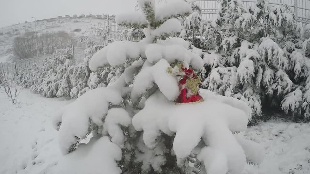 Snowy fir trees, Christmas tree in winter 