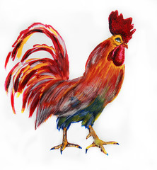 Красный петух гуашью.Символ 2017 года