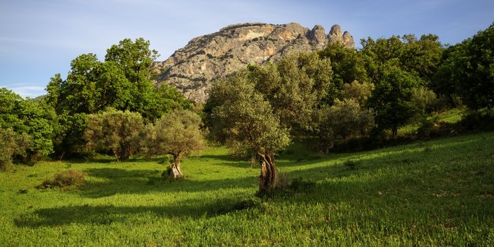 Mount Three Peaks in the Aspromonte National Park, Reggio Calabria, Calabria, Italy